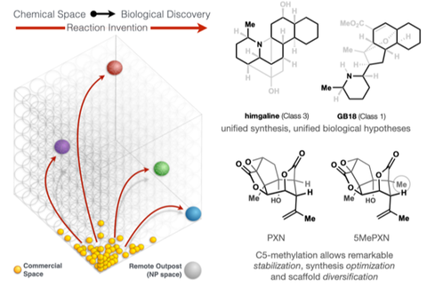 Image illustrating research