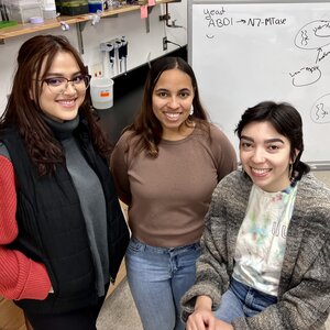 Student researchers stand and sit side by side in a lab with a wipe off board behind them with chemical equations from their research.