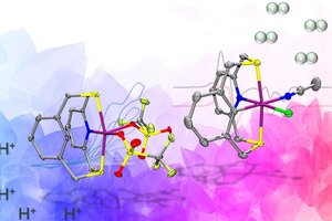 Pink and blue and white graphic illustration of the chemical structures. 