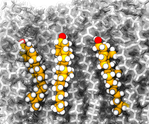 An illustration showing molecular structure of cholesterol, represented by elongated orange and white colored images on gray background.